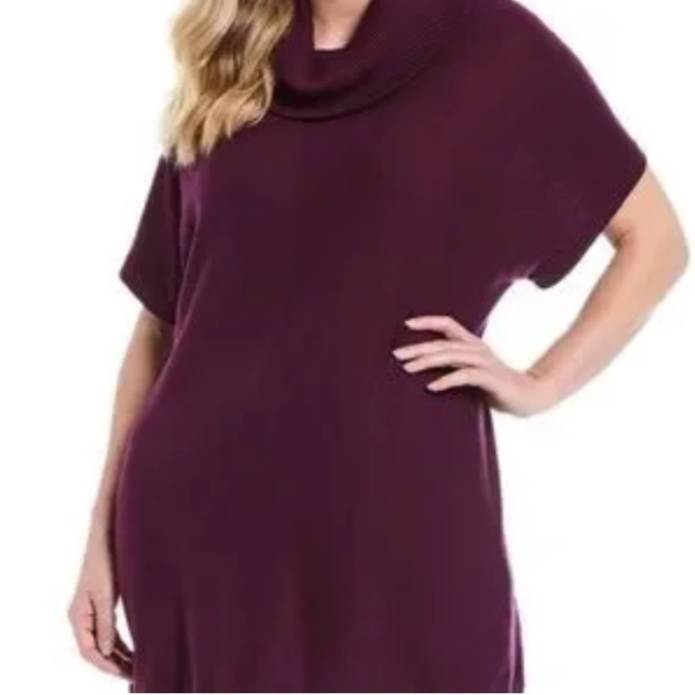 ASHLEY STEWART Textured Burgundy Sweater Dress Size 18